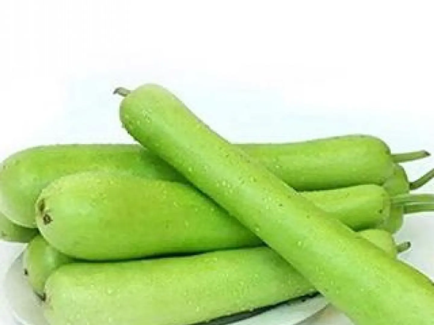 قرع اخضر نص كيلو