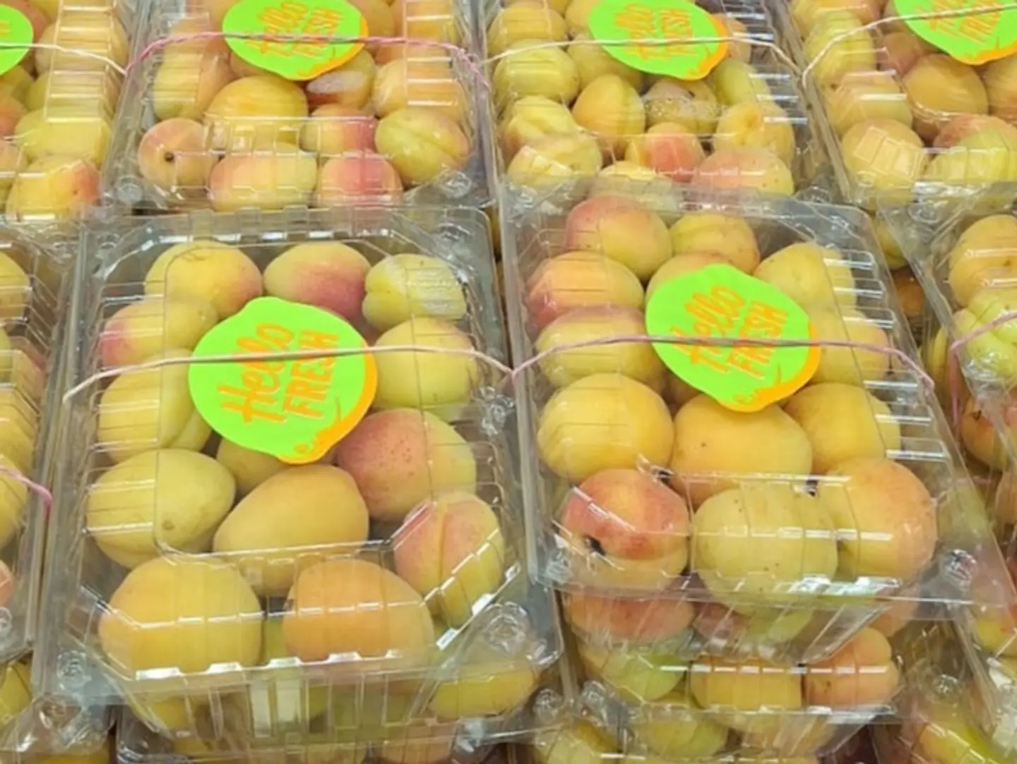 Sweet Apricot
