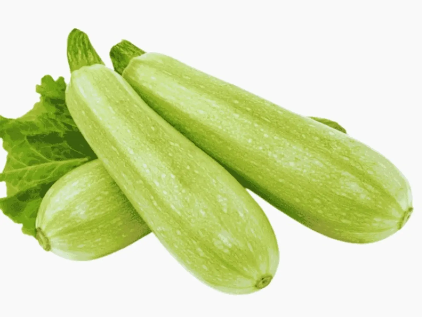 كوسا نص كيلو