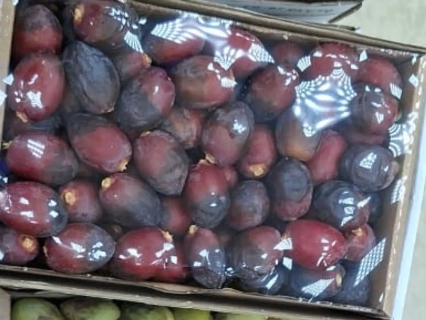 رطب خنيزي الحساء كرتون