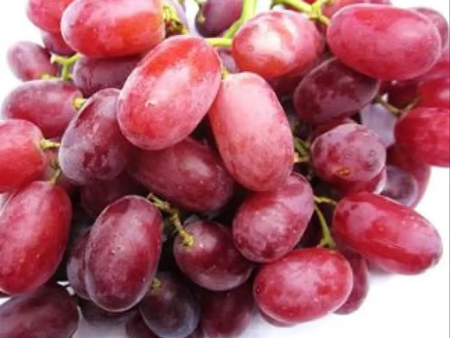 عنب احمر نص كيلو