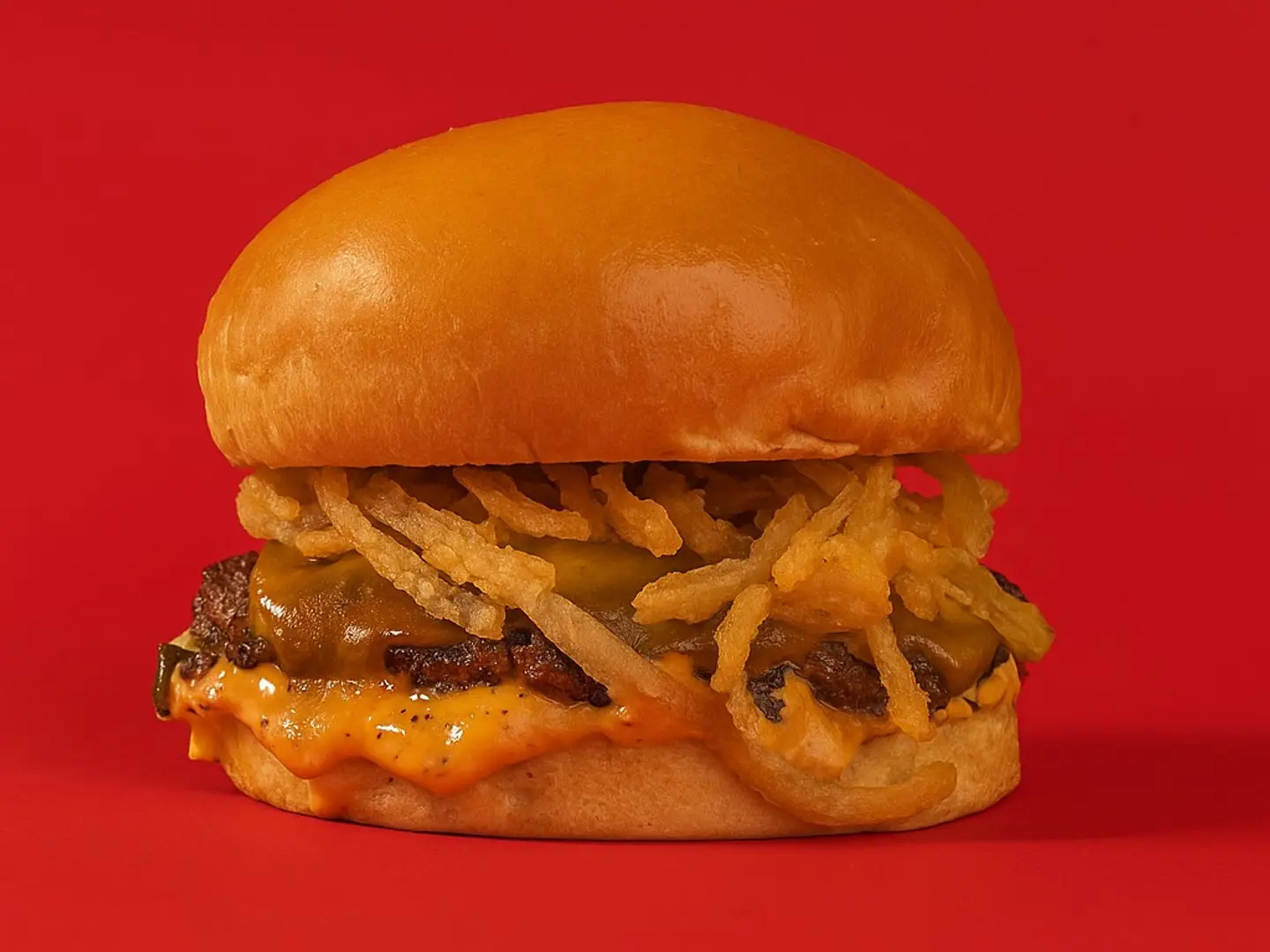Works Burger 100g