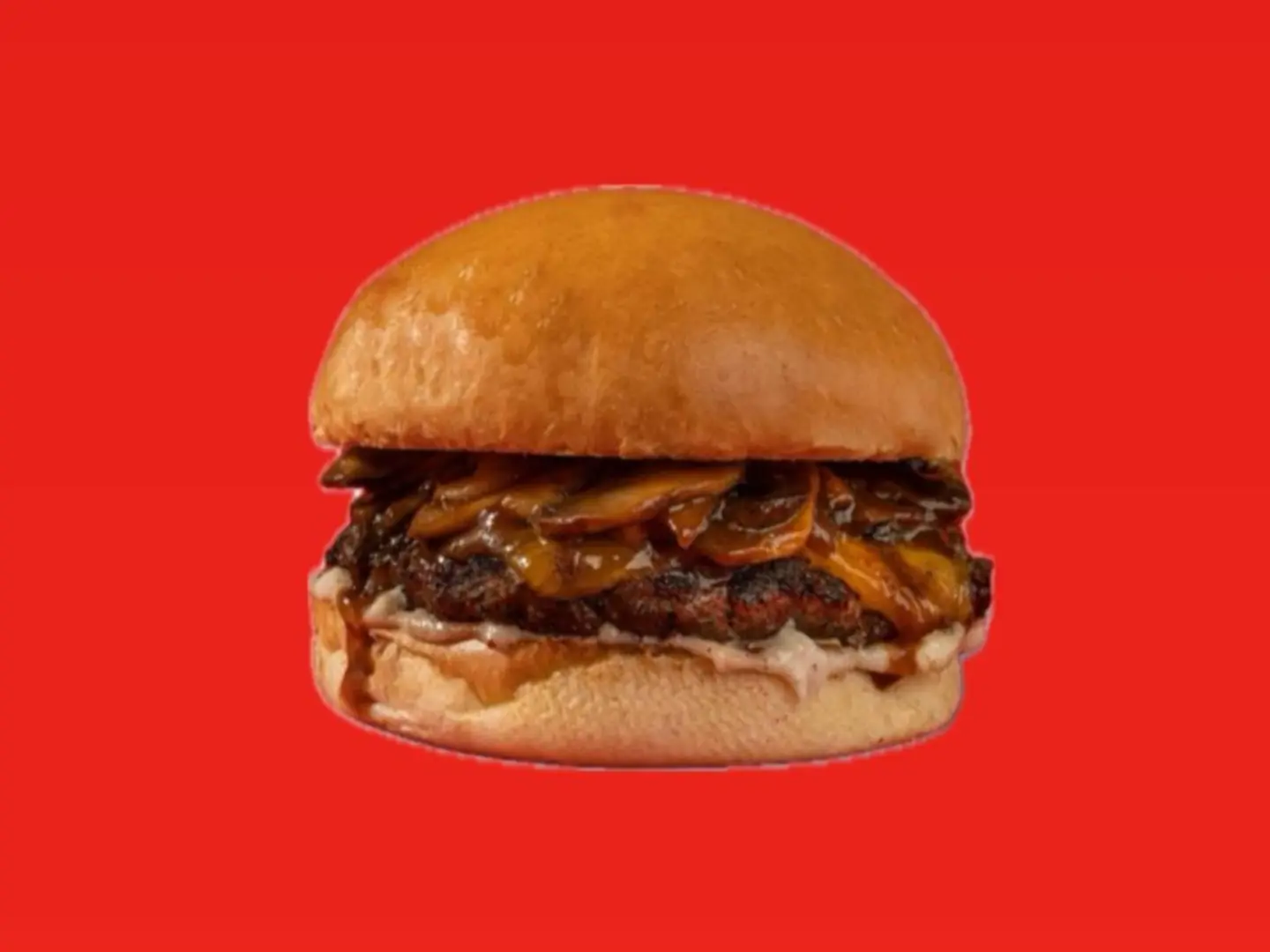 Mushroom Burger 120g