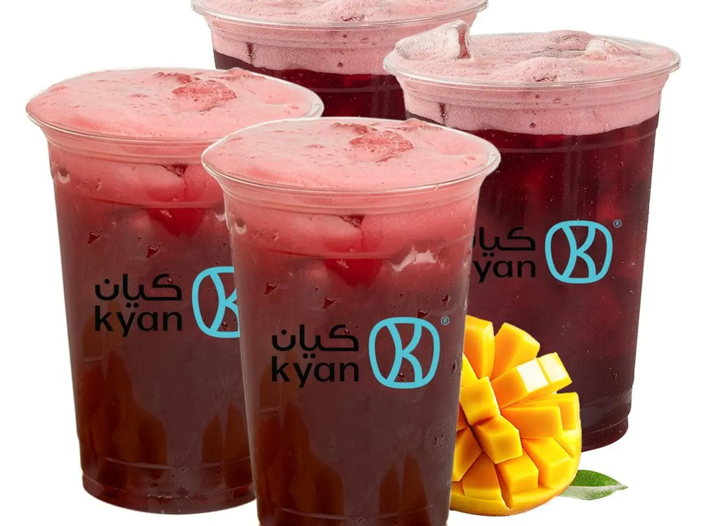 2 كركديه مانجو-2كركديه عادي