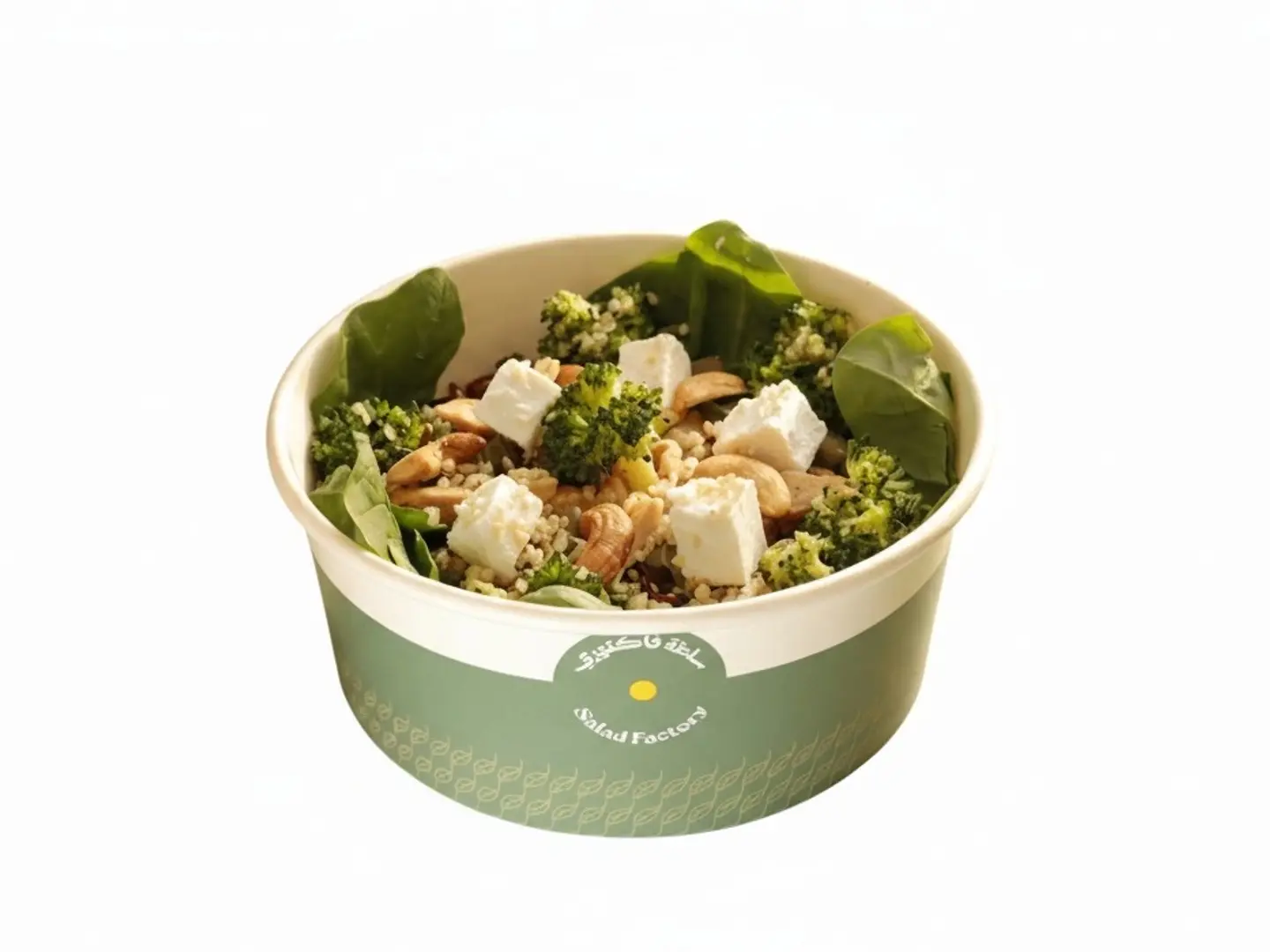 Protein Salad High Protein Inside