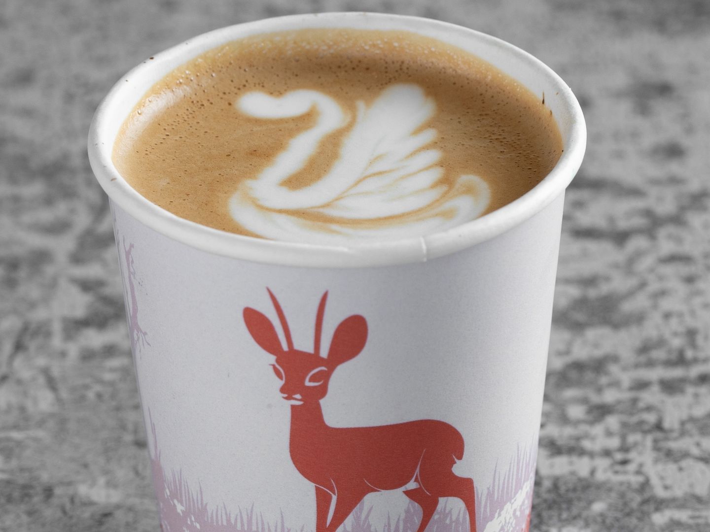 Latte