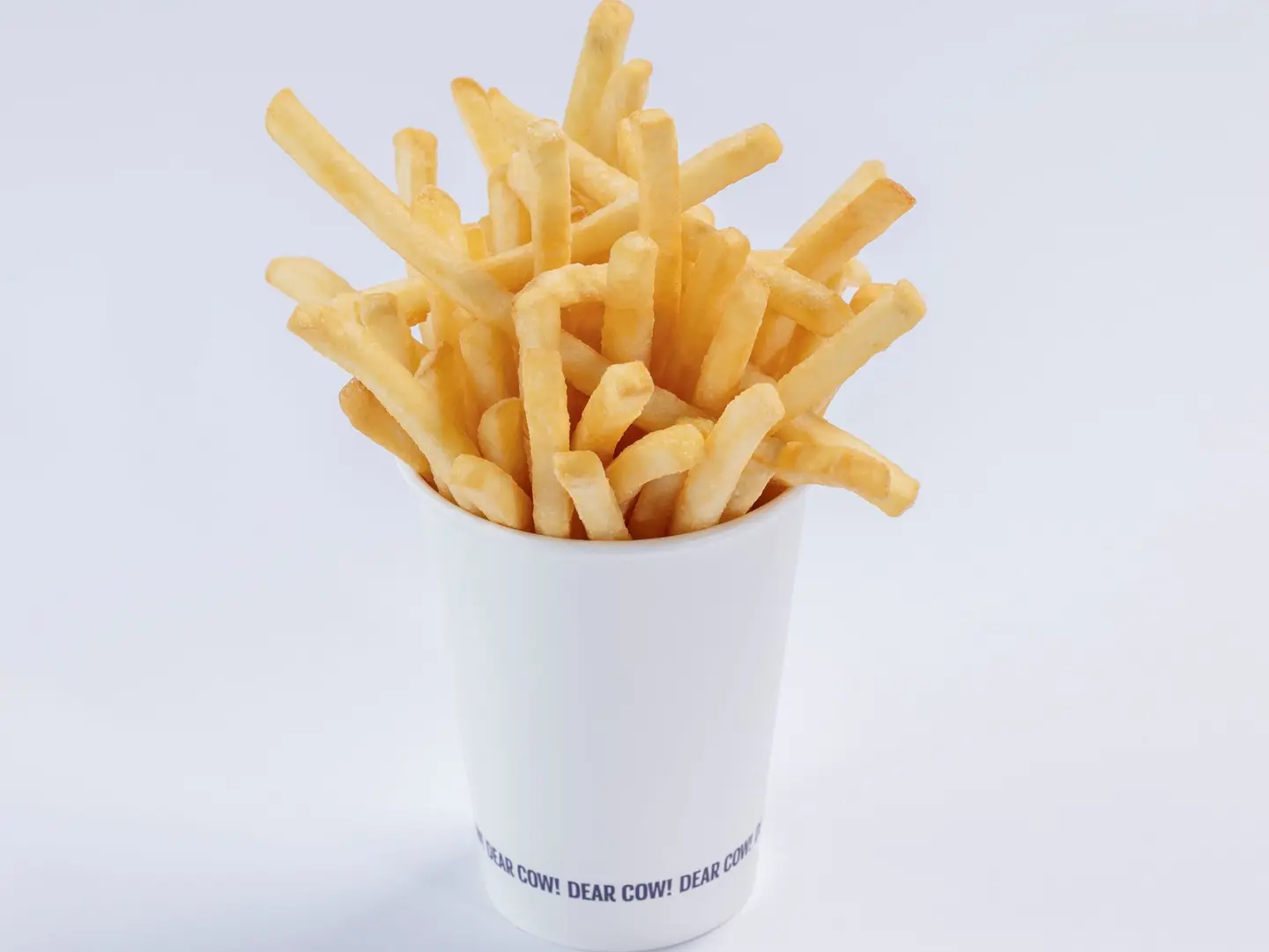 Regular Fries