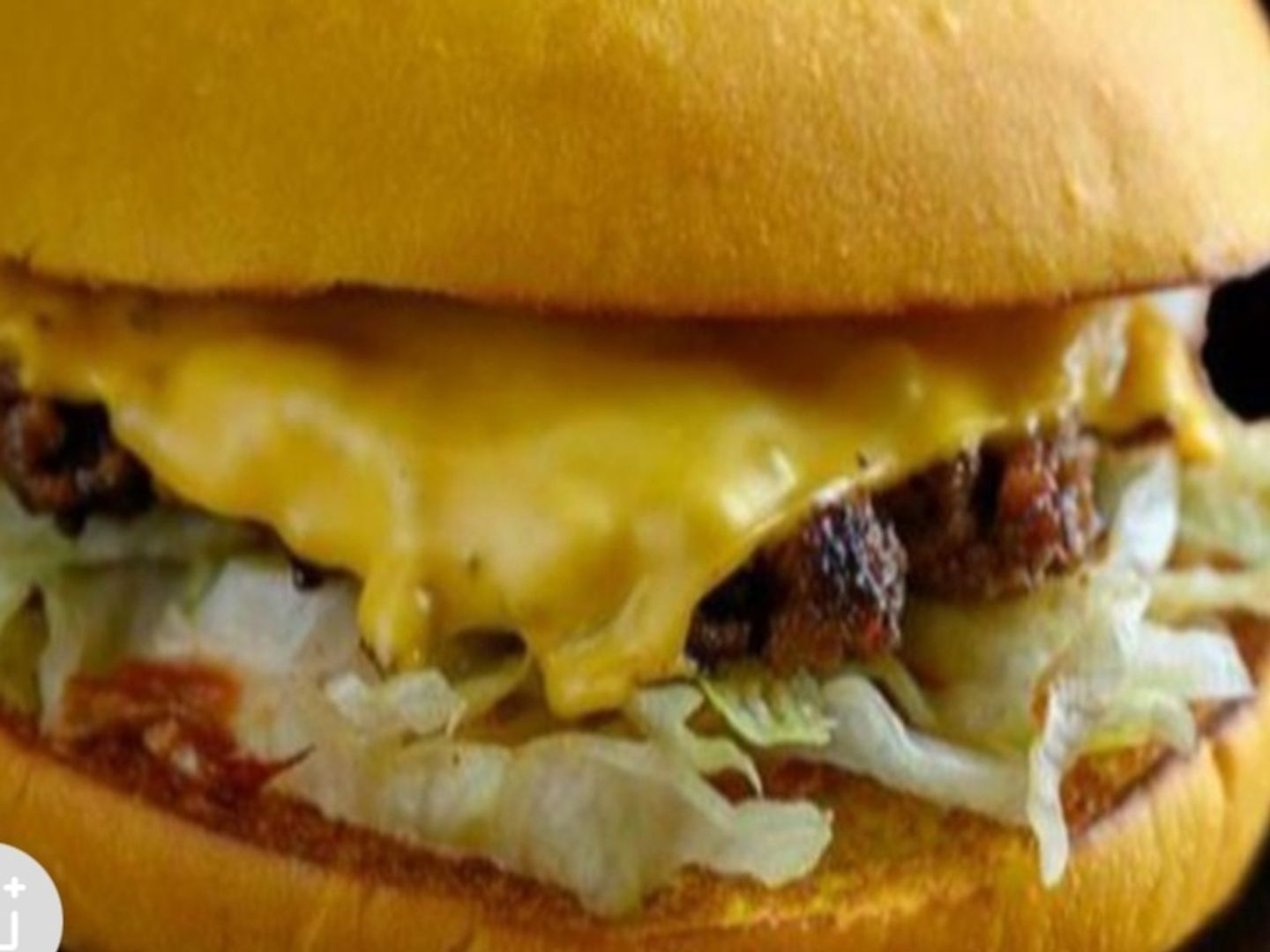Classic Beef Meal Beef Meat