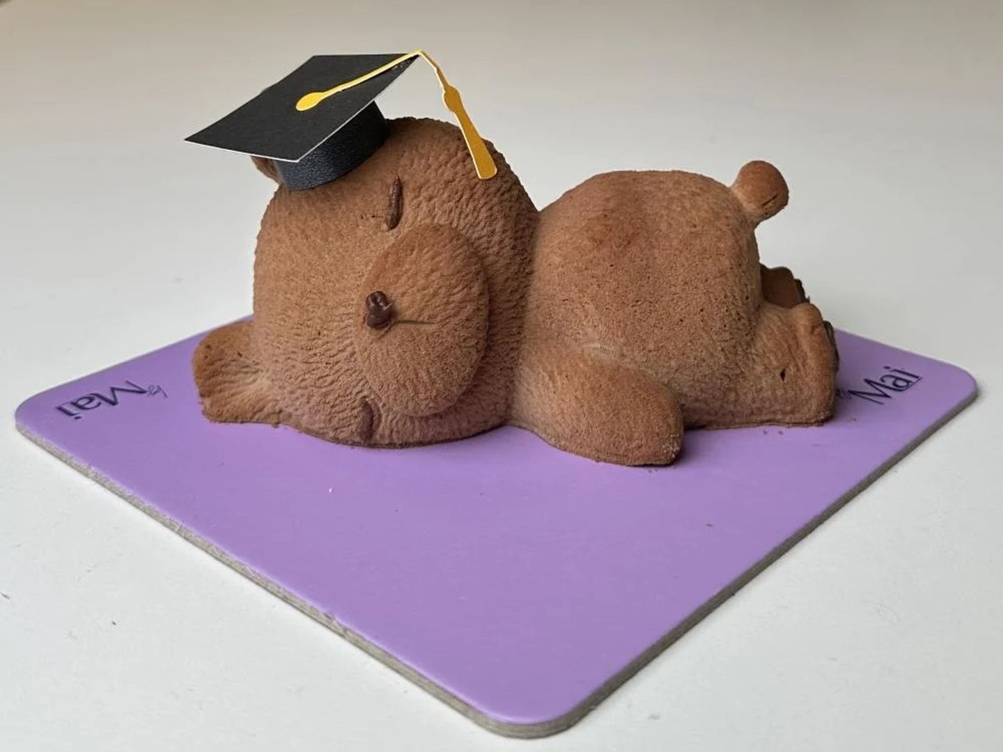 Bear Cake Graduation