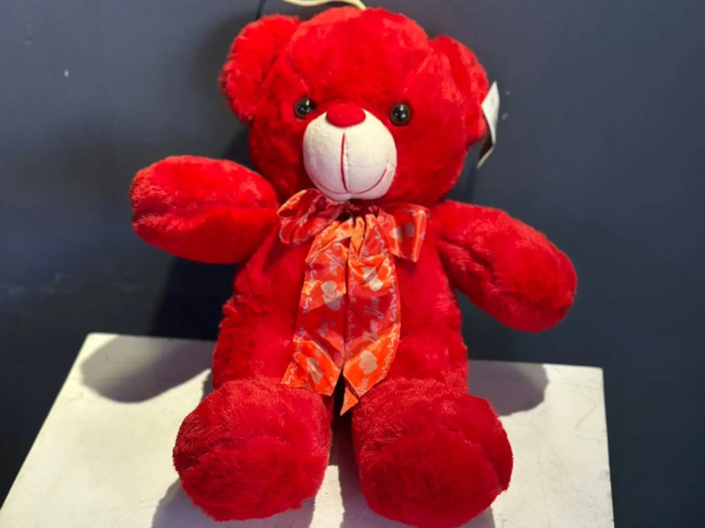 60cm Teddy Bear