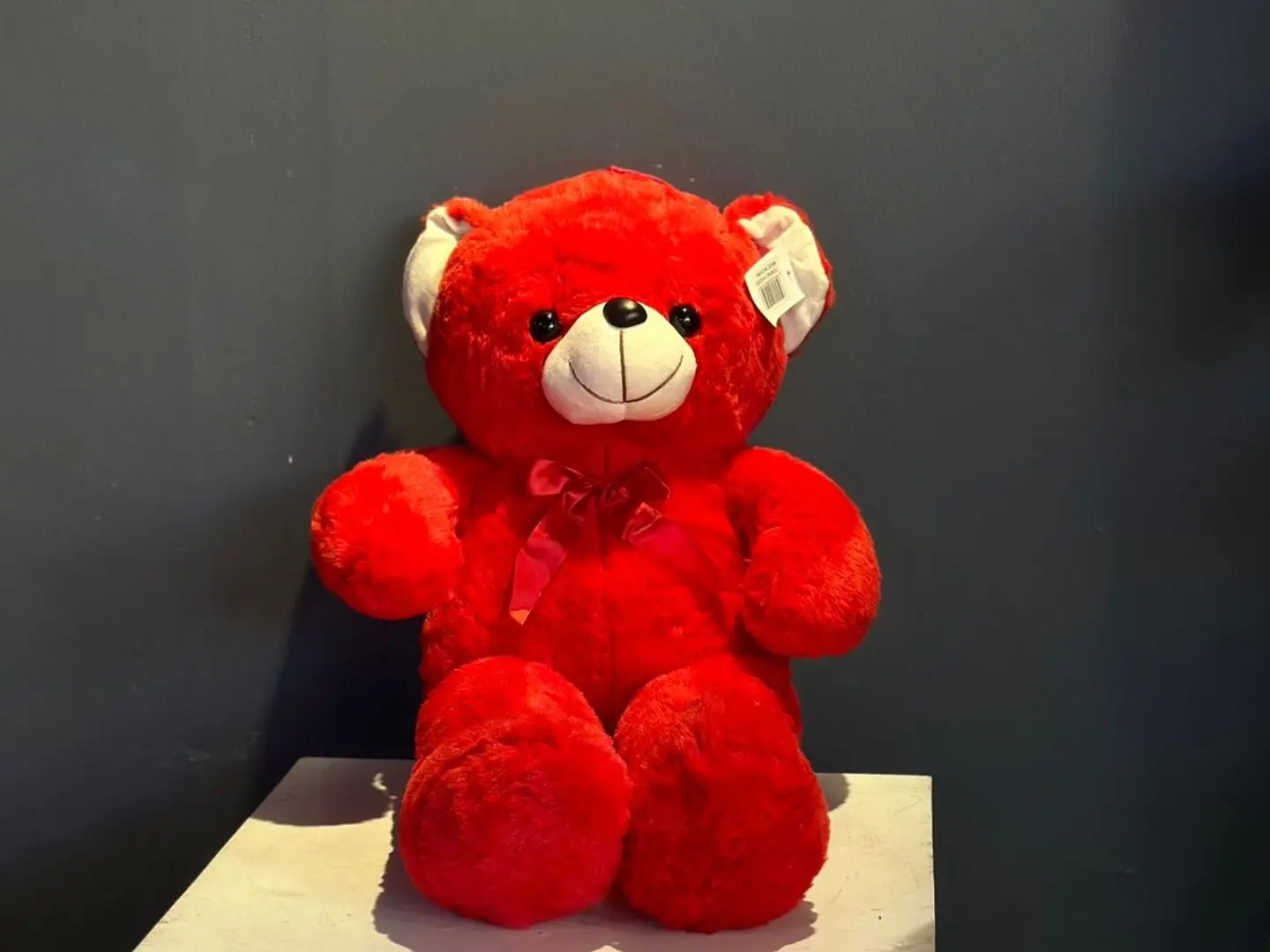 Large 50cm Teddy Bear