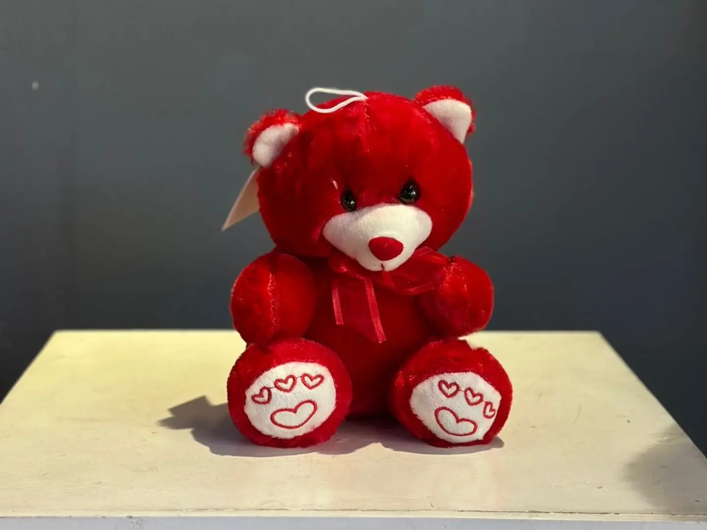 25cm Teddy Bear