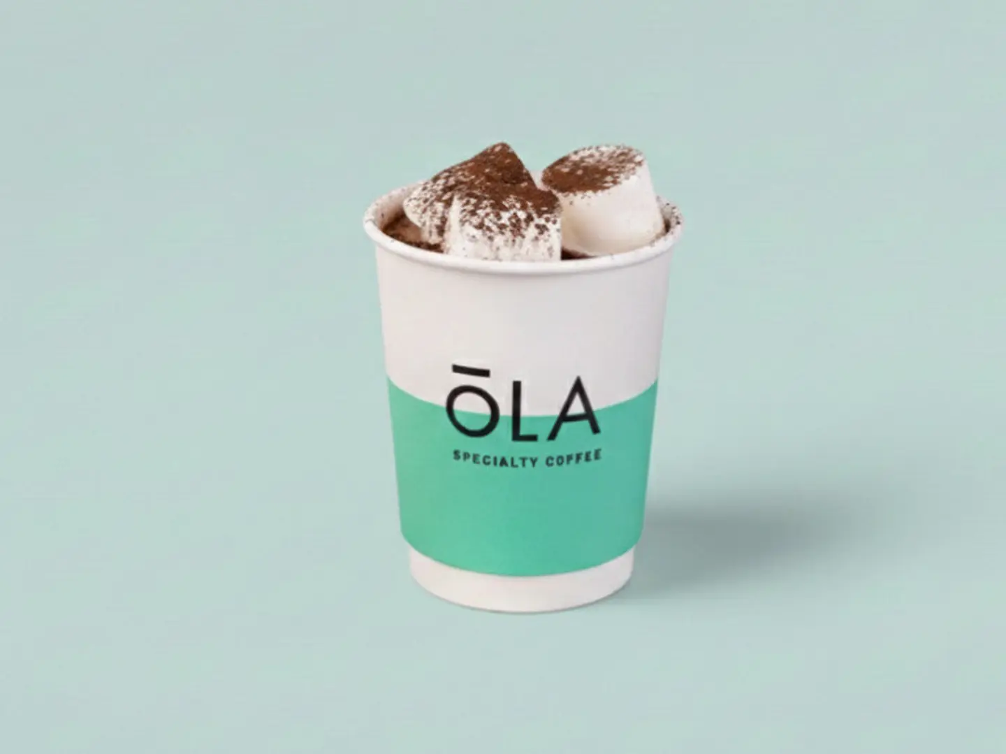 Hot Chocolate With Marshmallow