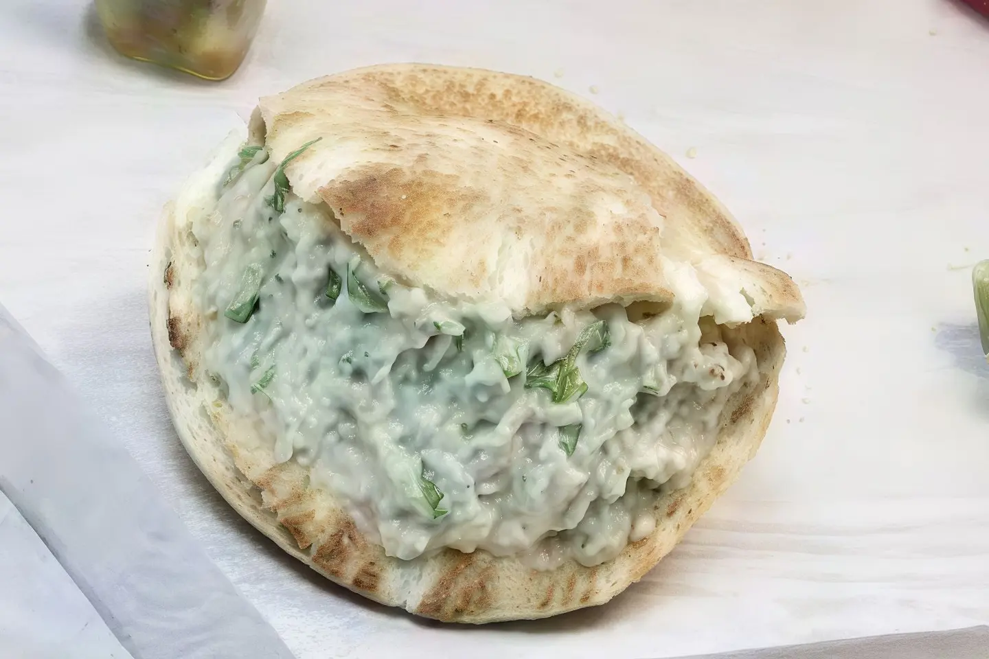 ساندوتش بابا غنوج