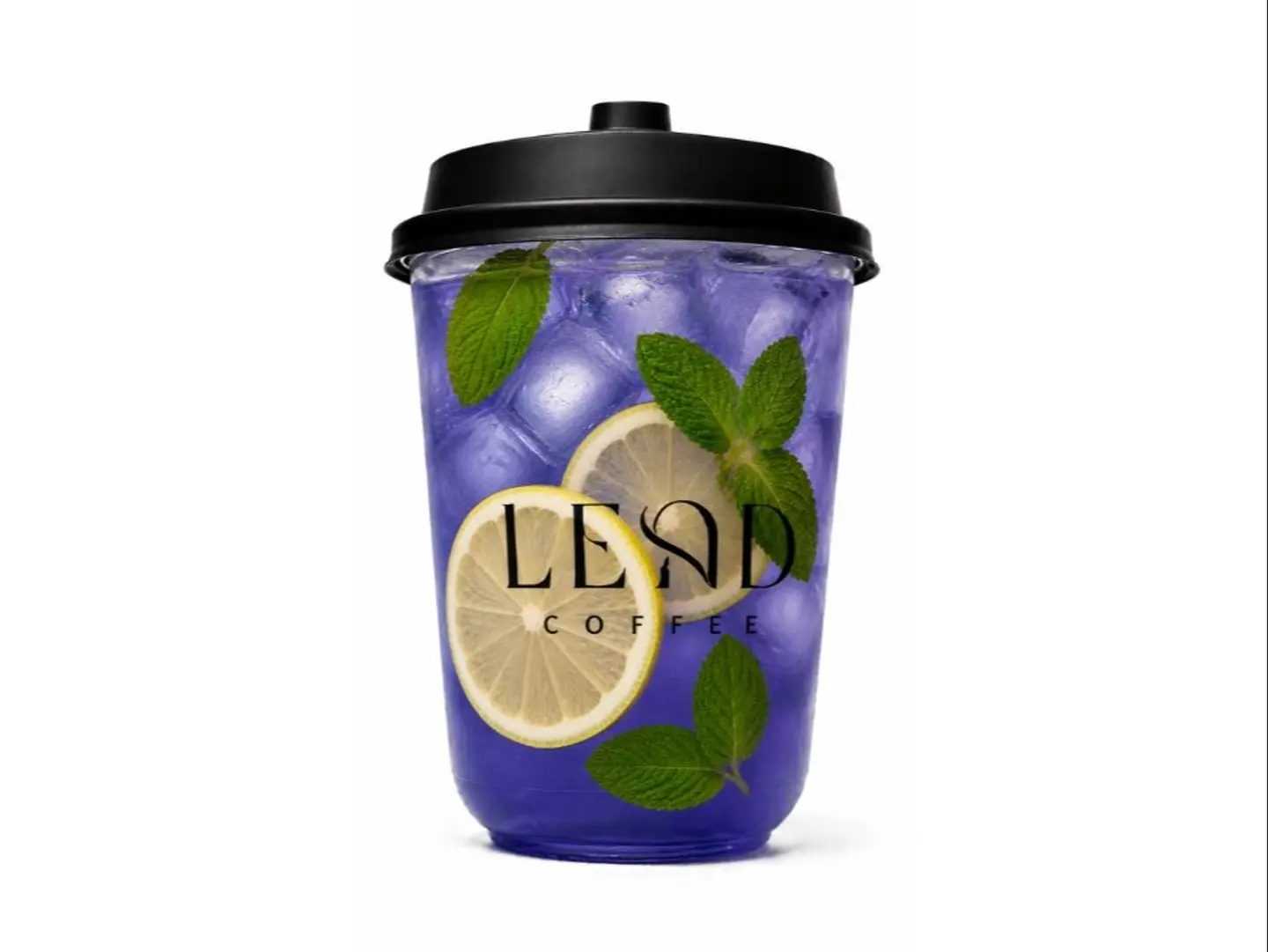 Blueberry Mojito