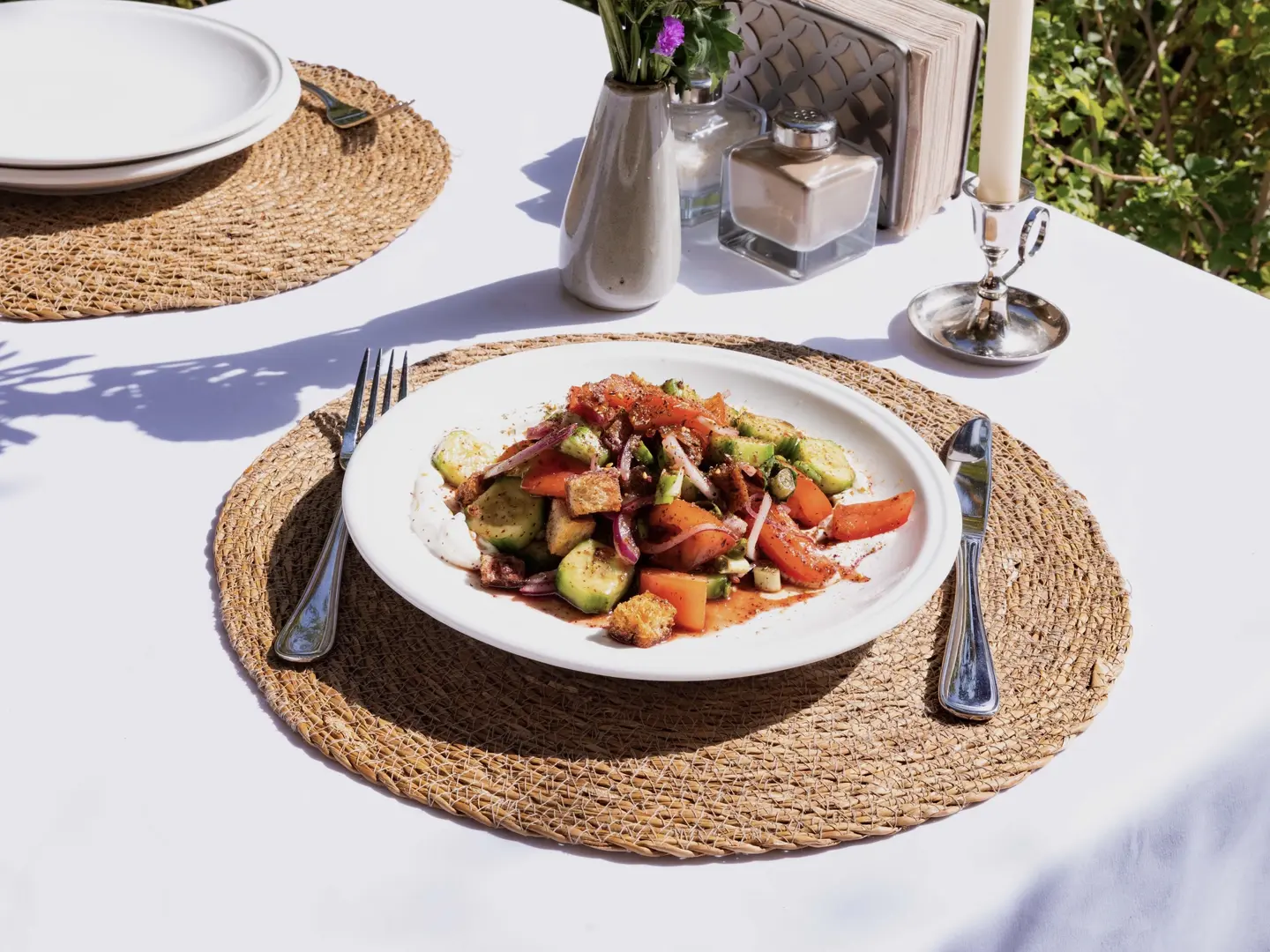 فتوش مع زبادي