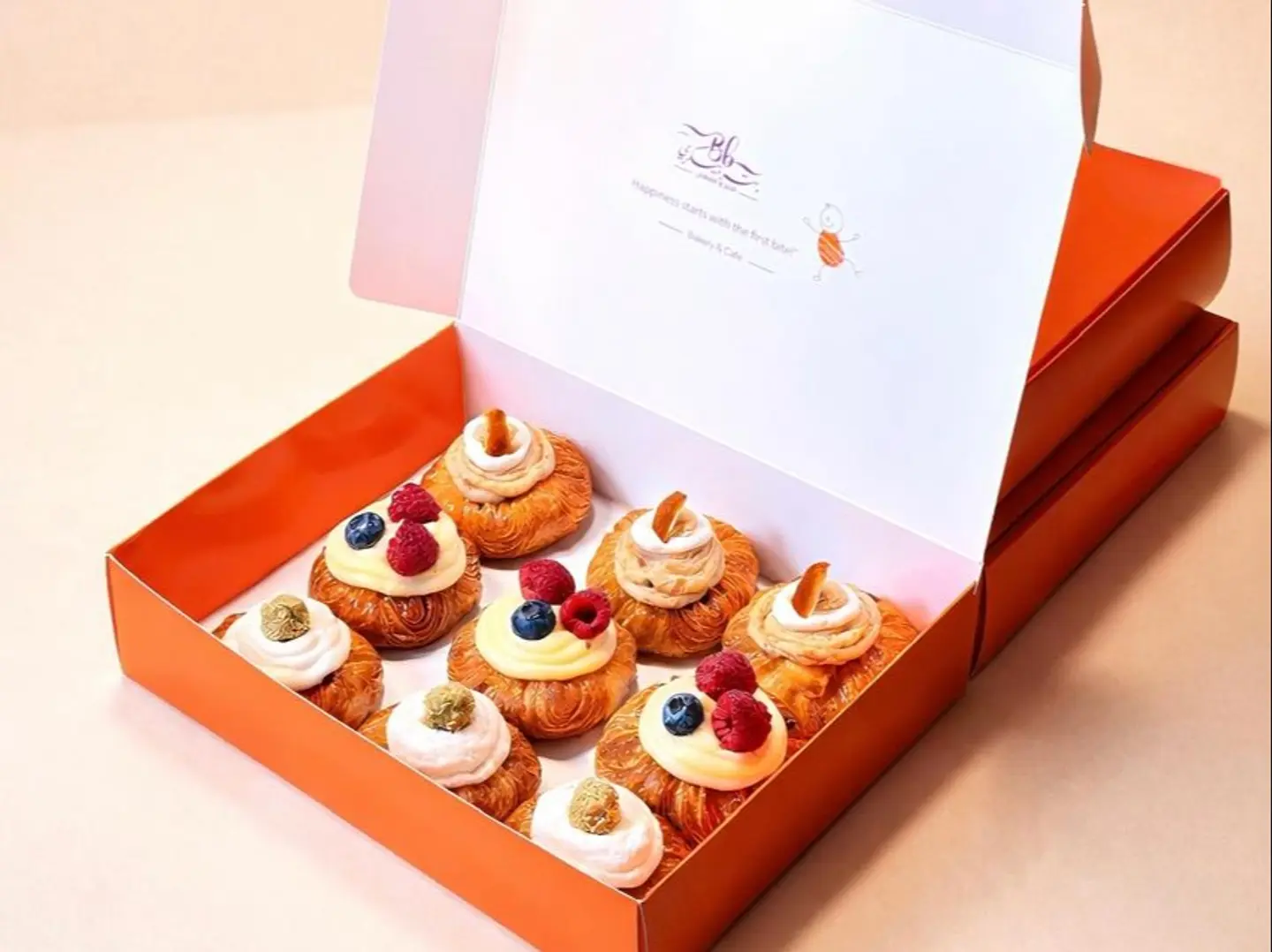 ميني دانش بوكس