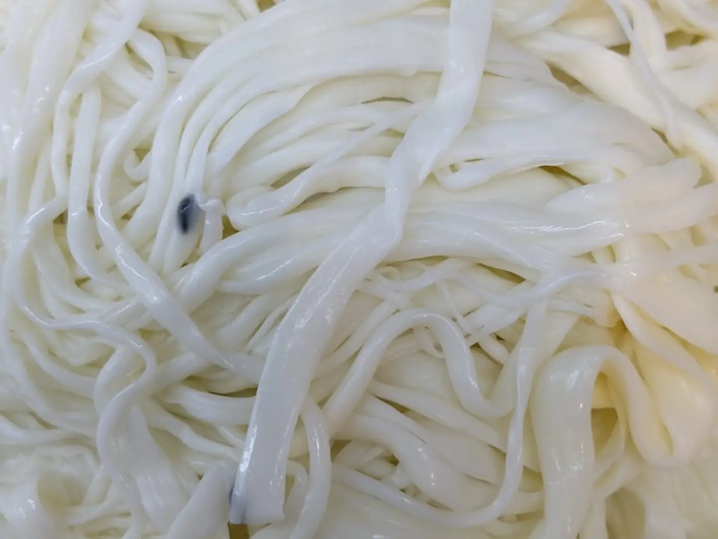 غنية جبن شلل فريش قليل ملح 500 جرام