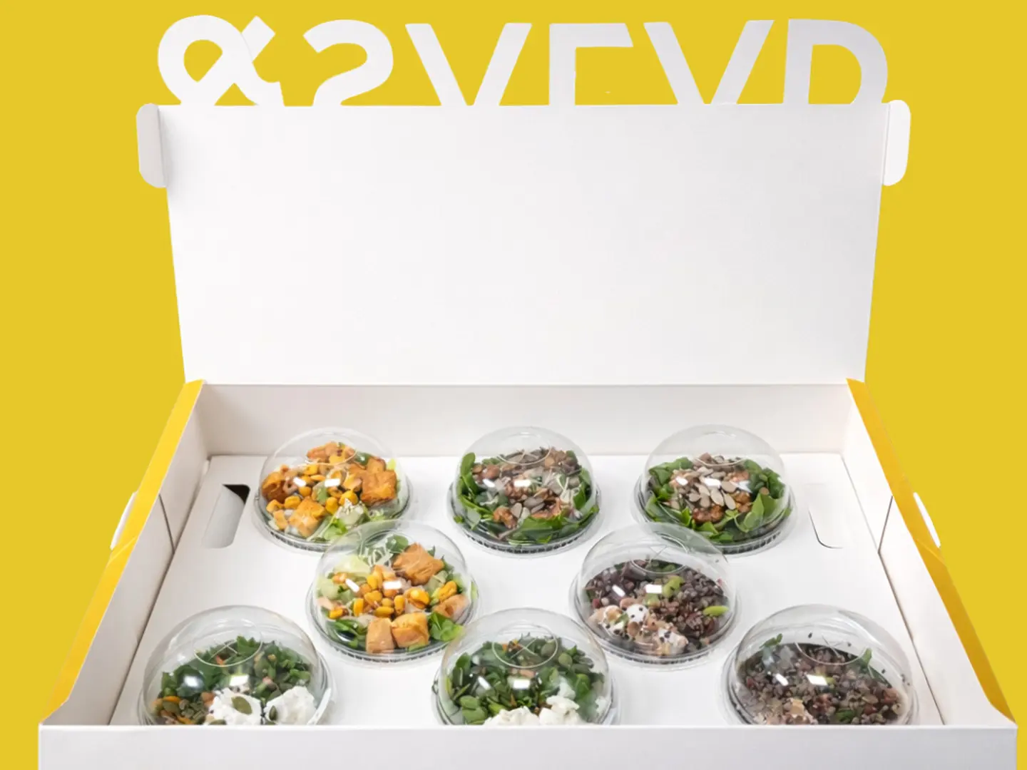 بوكس السلطات للجمعات