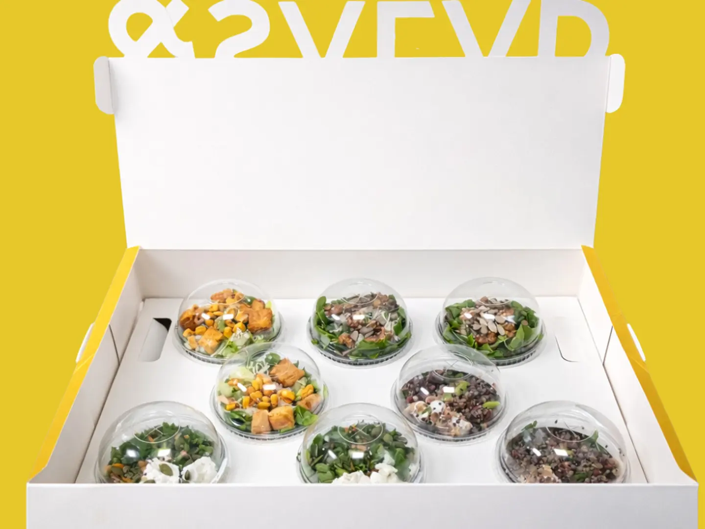 Salad Gathering Box