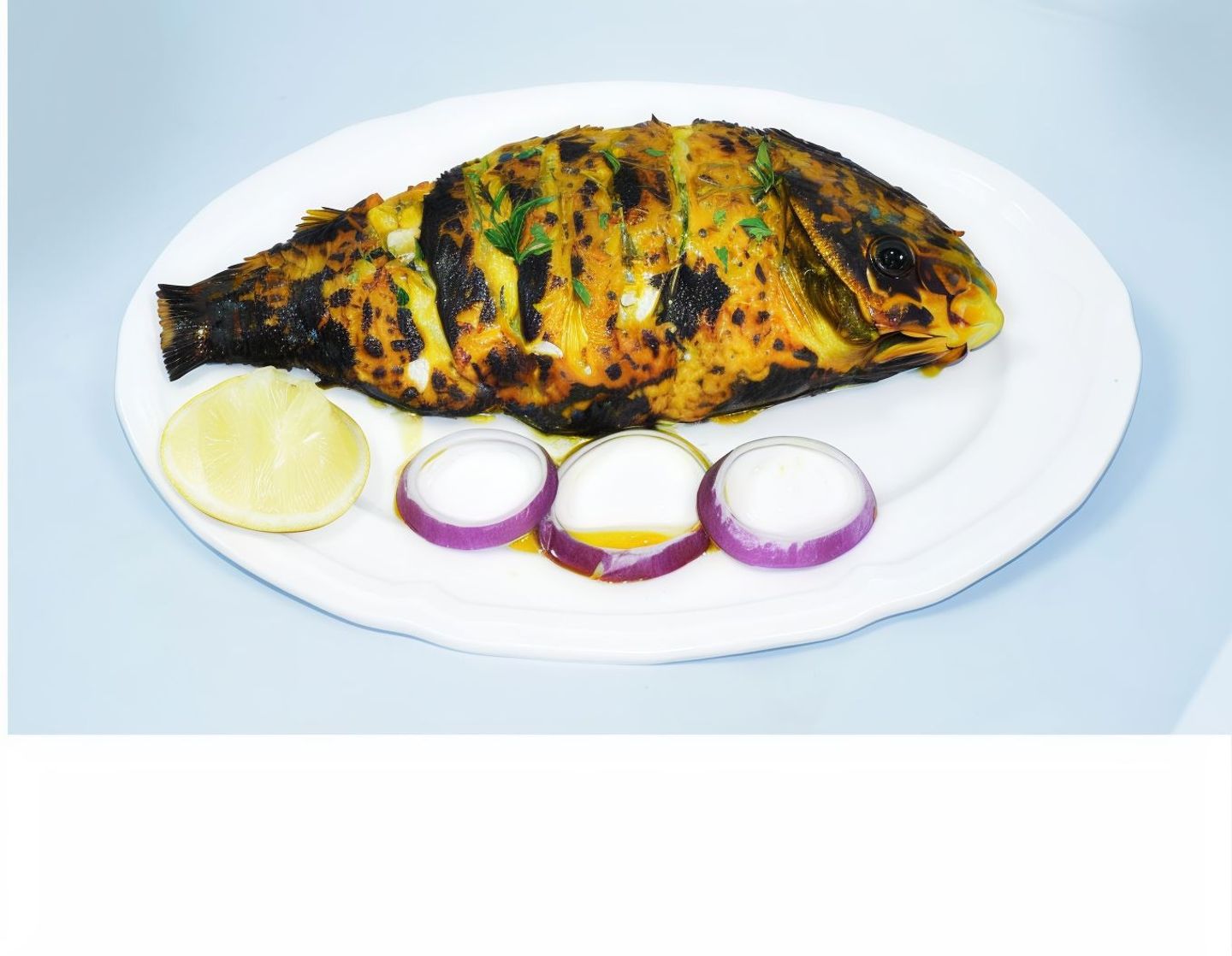 Sea Bream Fish