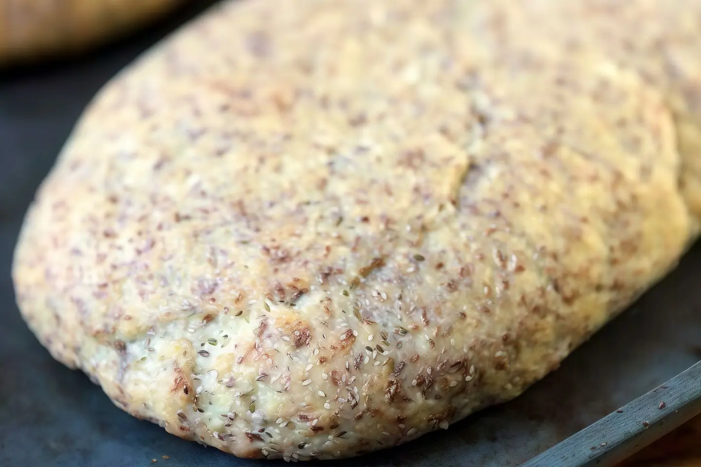 خبز بانيني مع بذور