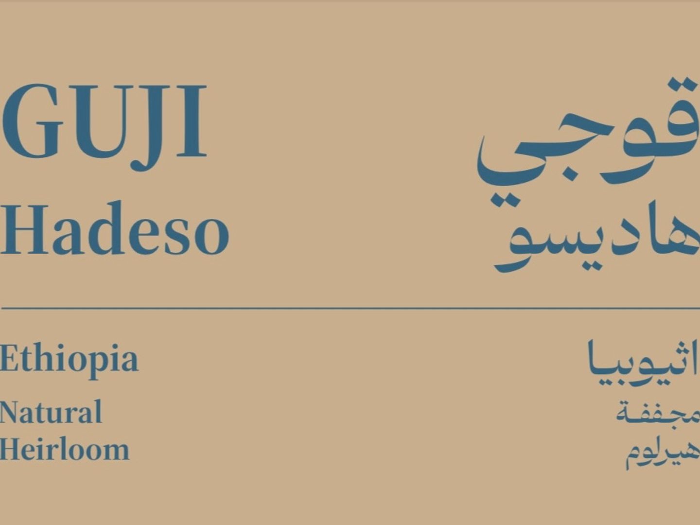 قوجي اثيبويا