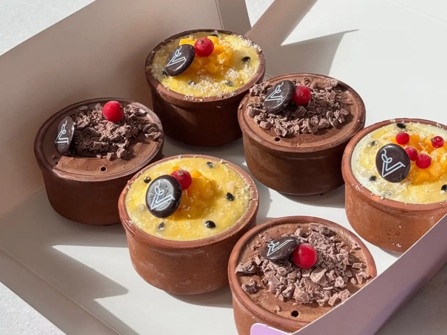 6 Piece Ice Cream