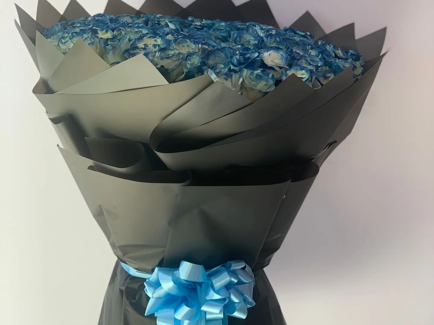 Bundle Of Newborn Happiness