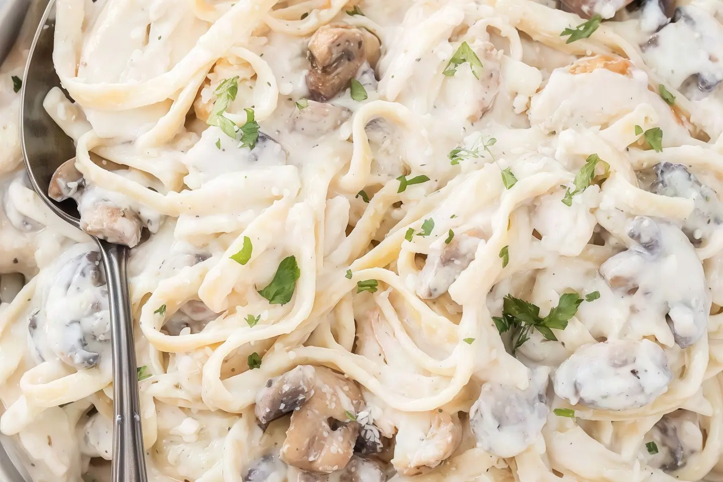 فيتوتشيني دجاج بيضاء