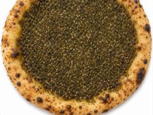زعتر