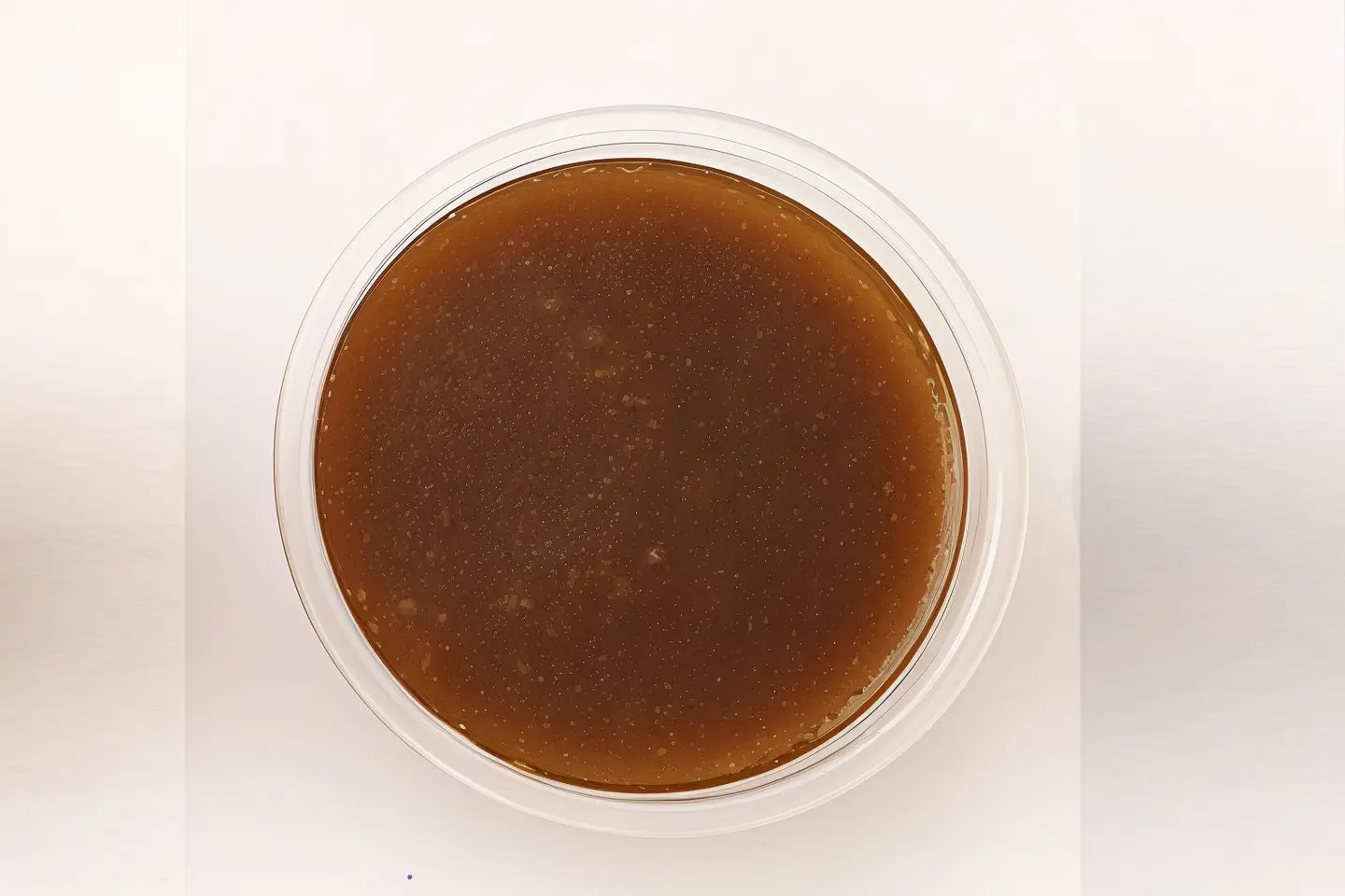 Lab Sauces