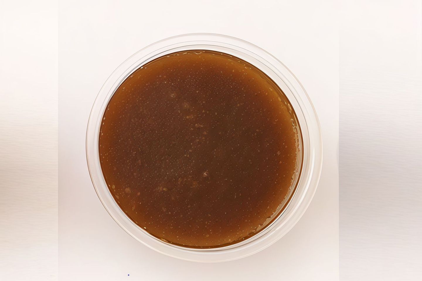 Lab Sauces