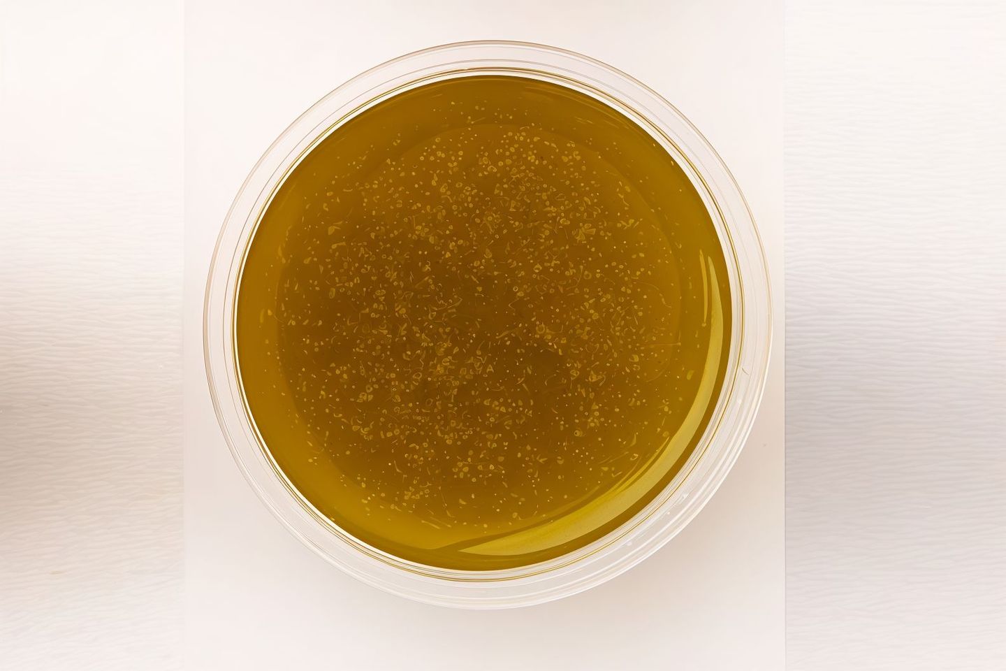 Lemon Dill