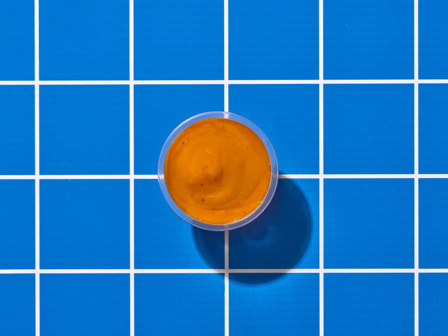 سيجنيتشر صوص