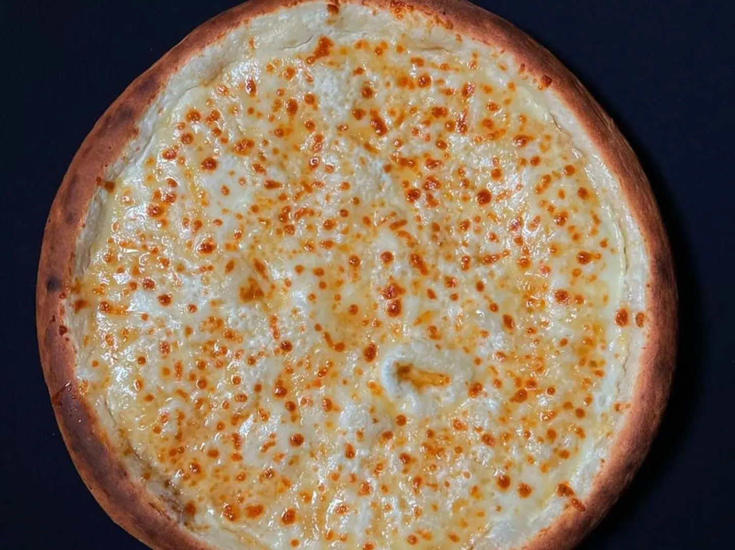 بيتزا عش البلبل