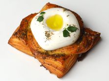 دانش اللبنة والزعتر