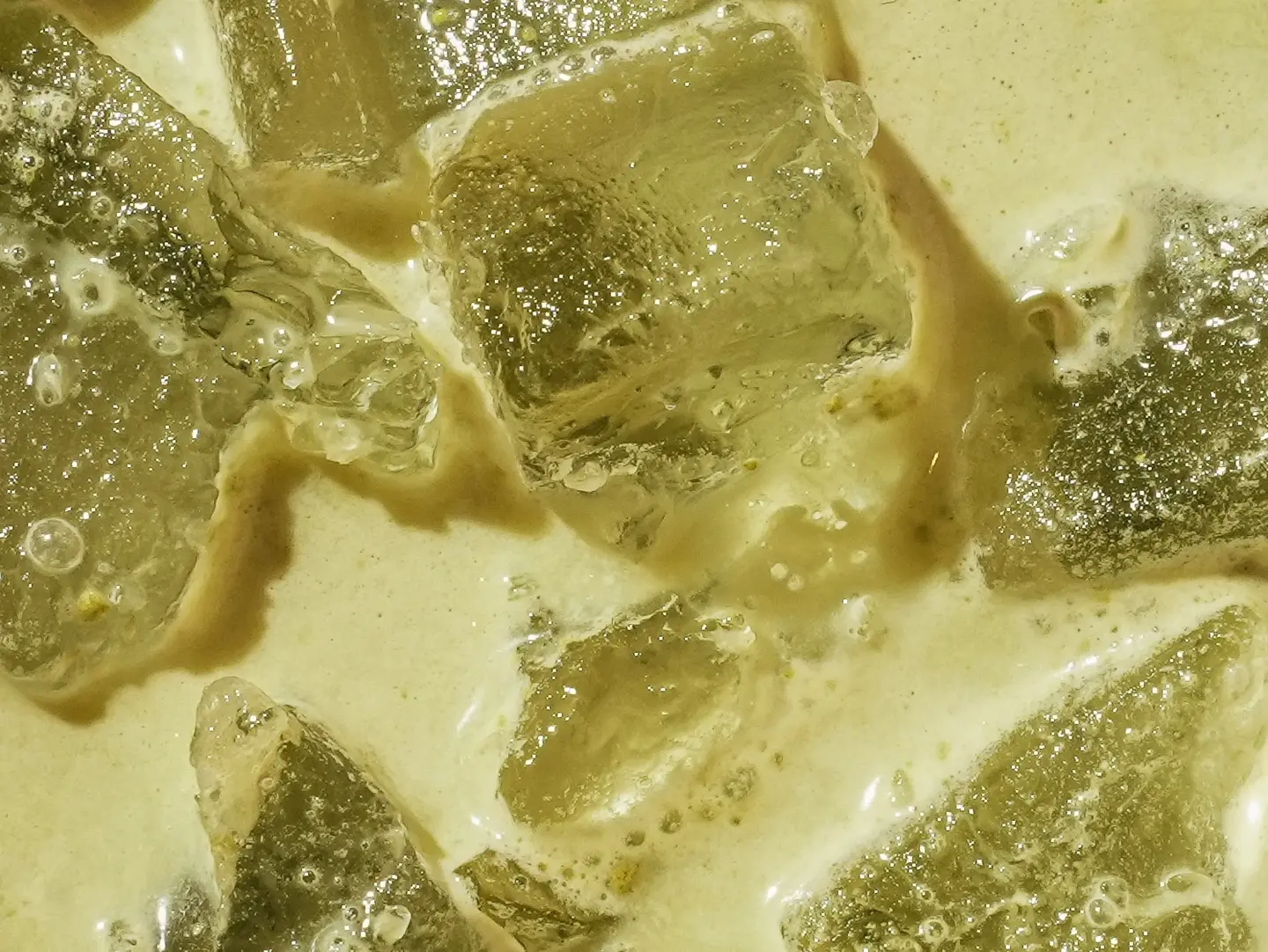 Iced Matcha Latte