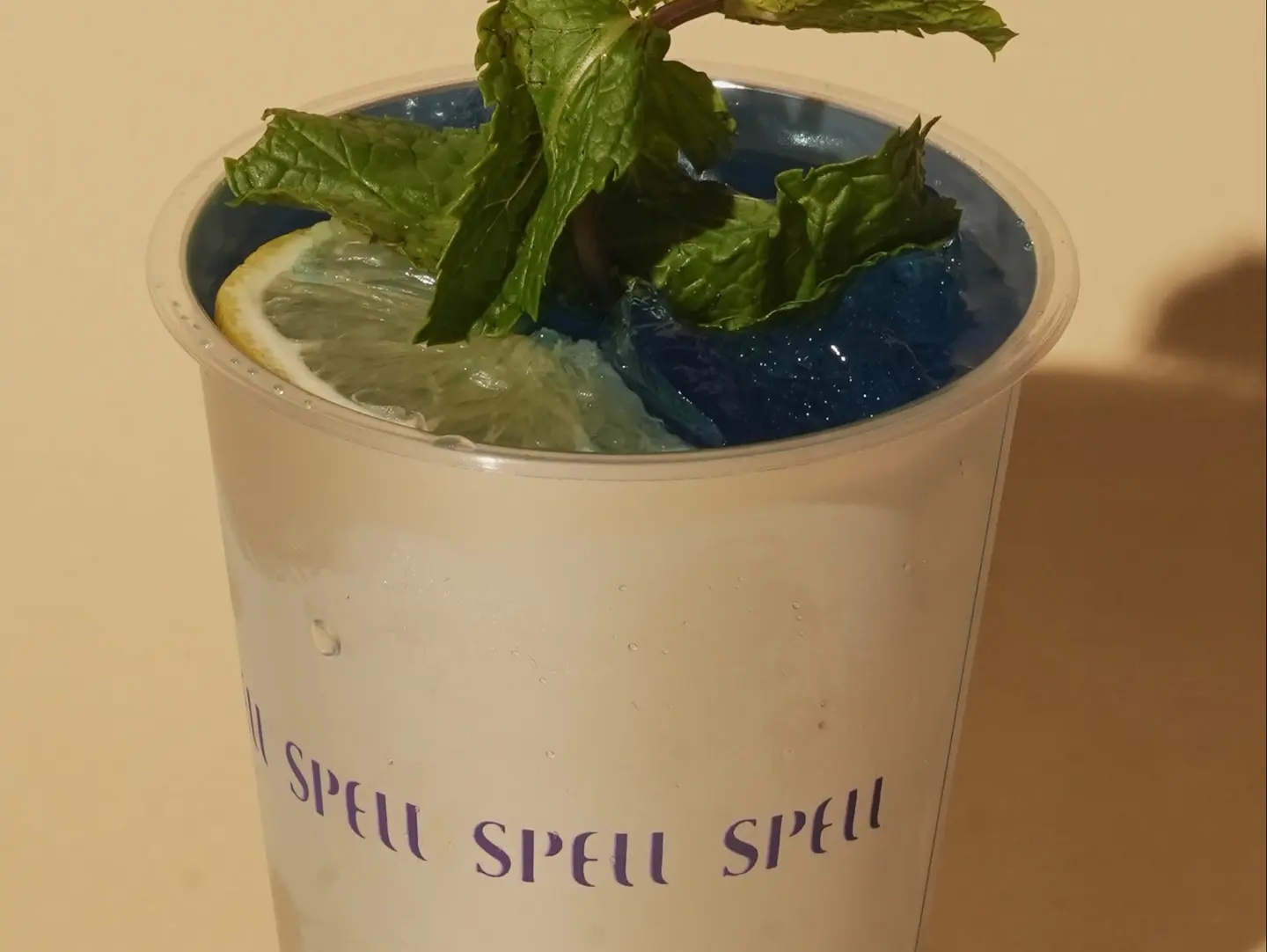 Blueberry Mojito