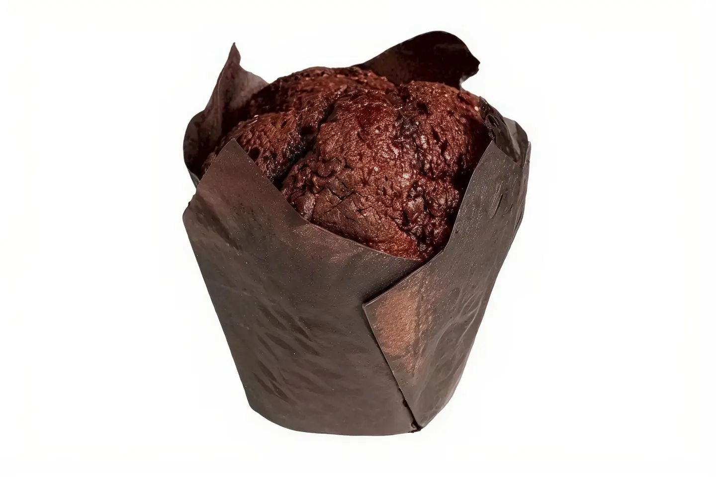 Chocolate Muffin