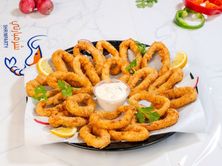 حلقات الحبار