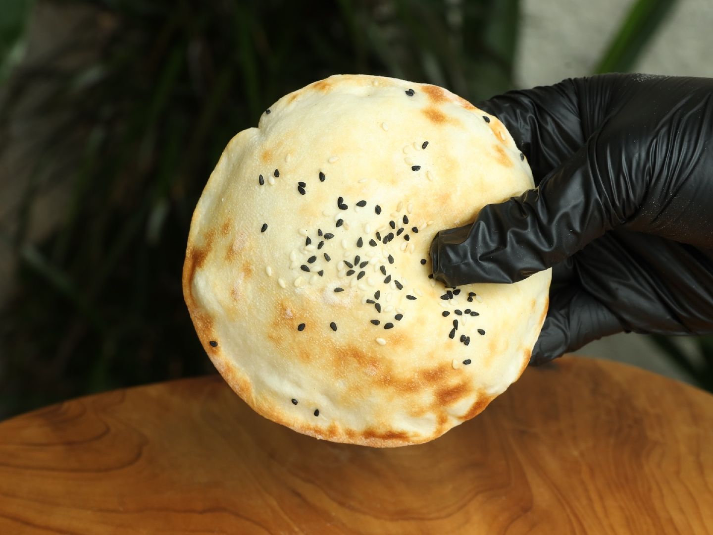 فطيرة الدجاج