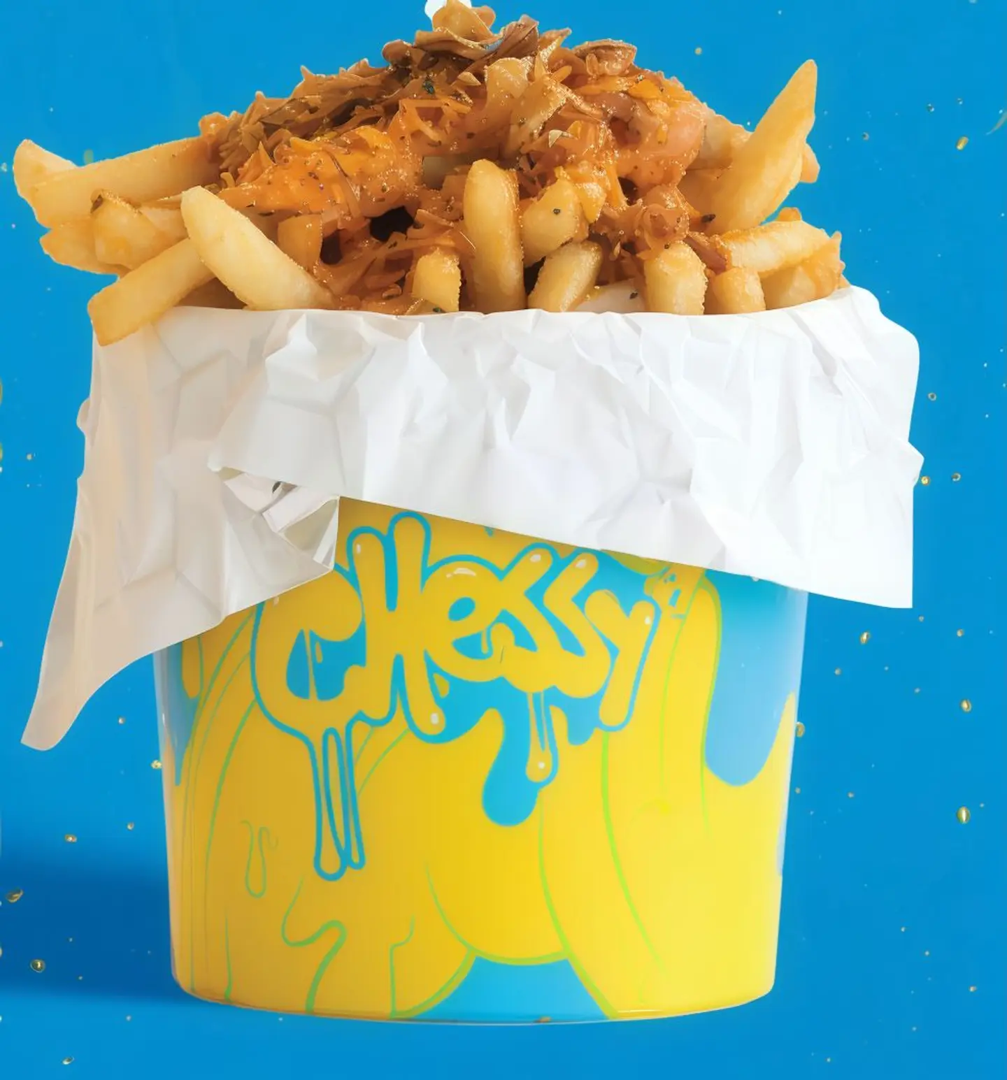 Chessy Fries