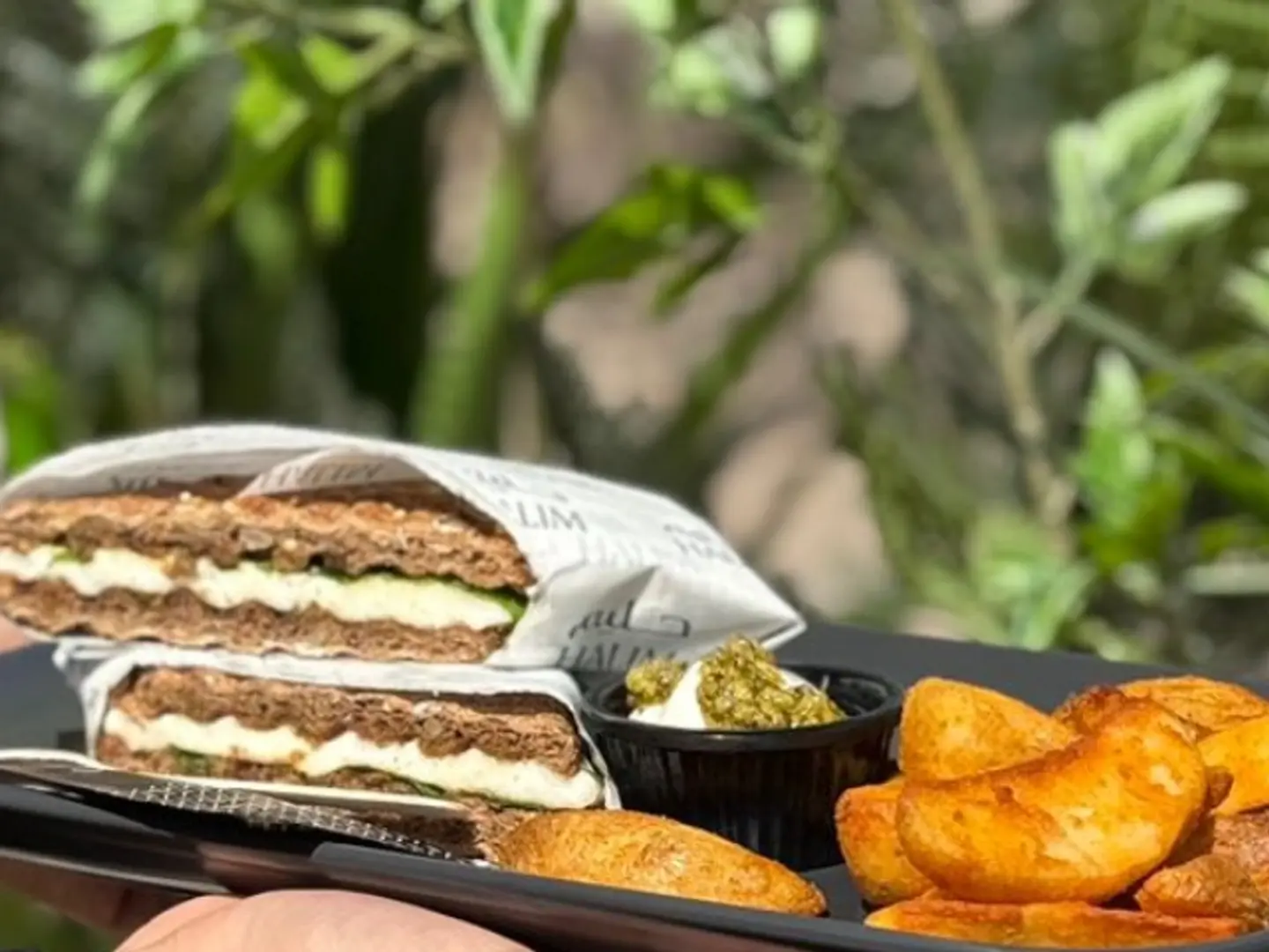 حلومي ساندويتش