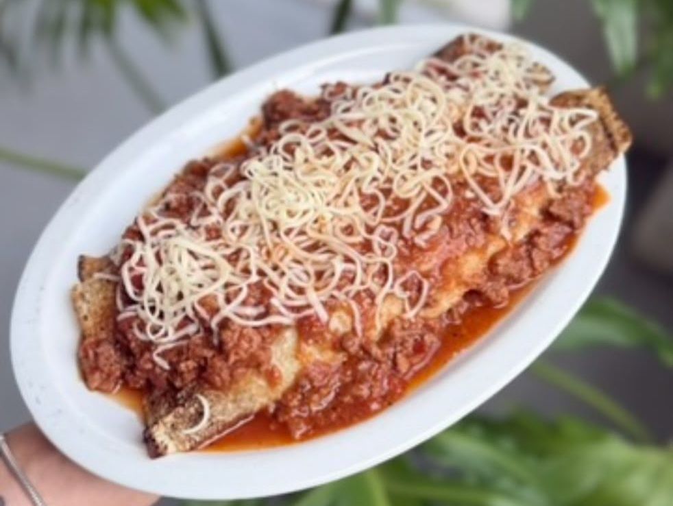 Canelones de verdura con salsa