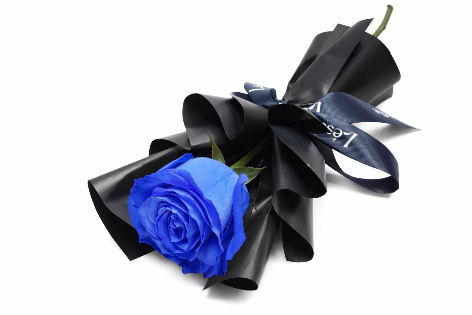 Blue Rose 1