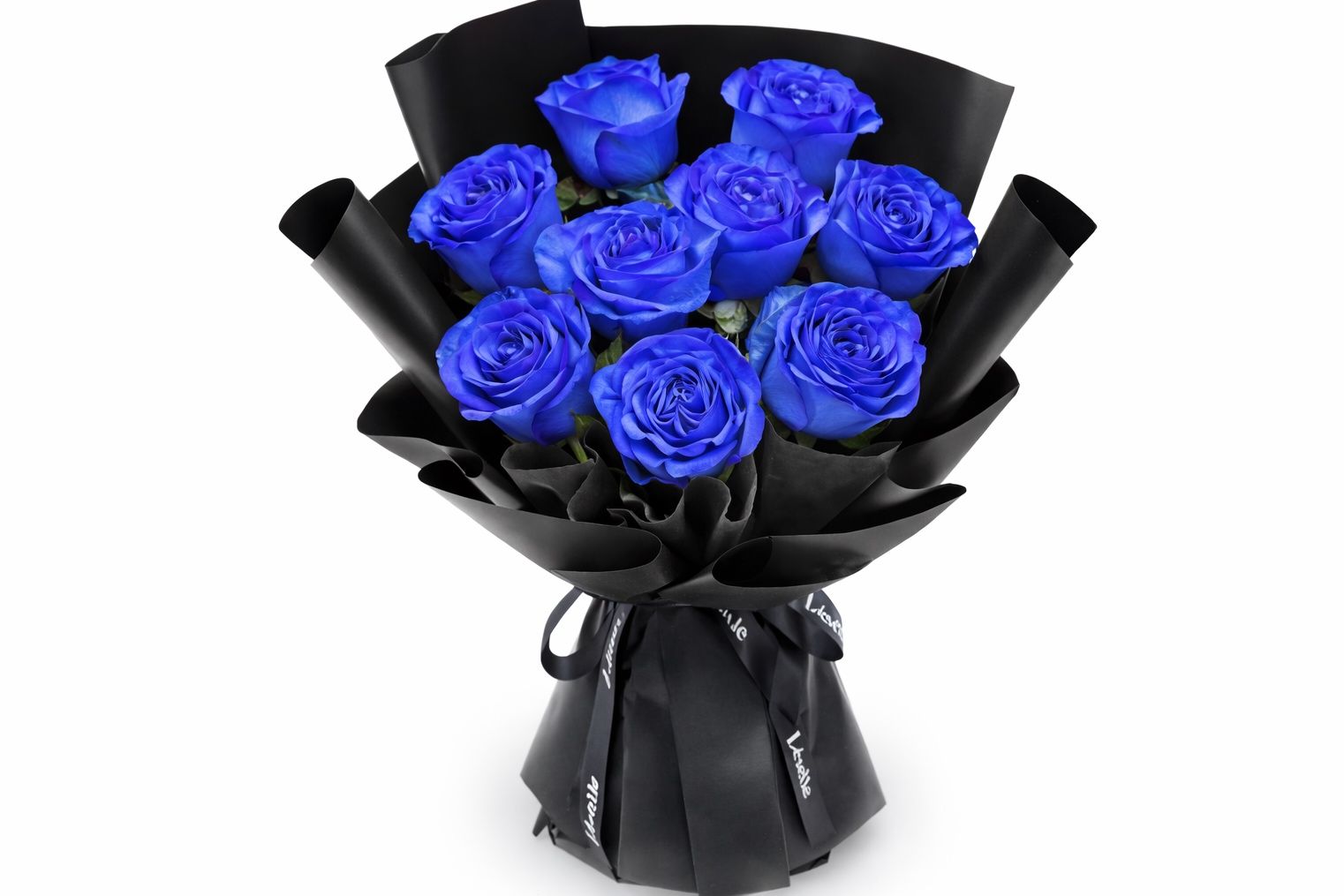 Blue Rose 2