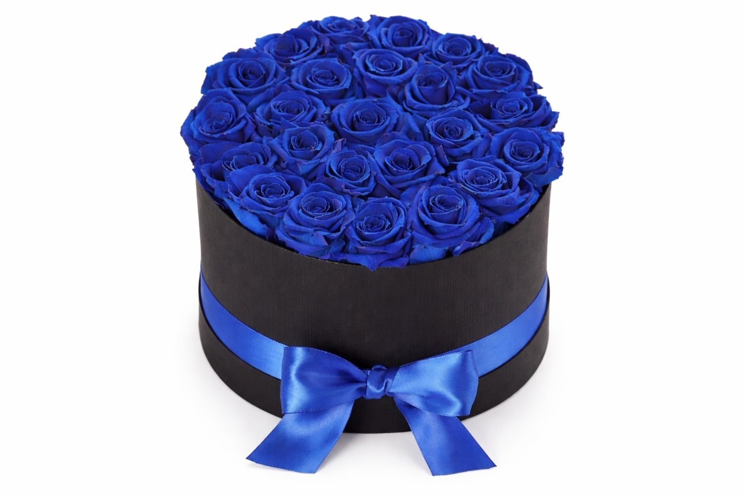 Blue Rose 5