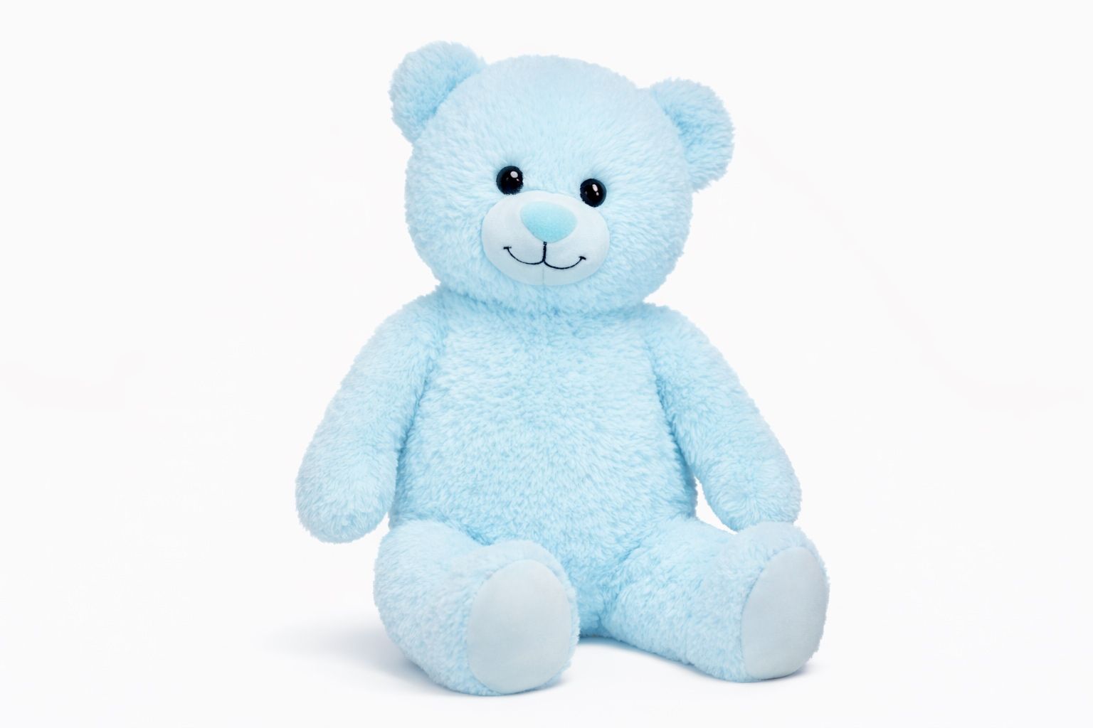 Teddy Bear 6