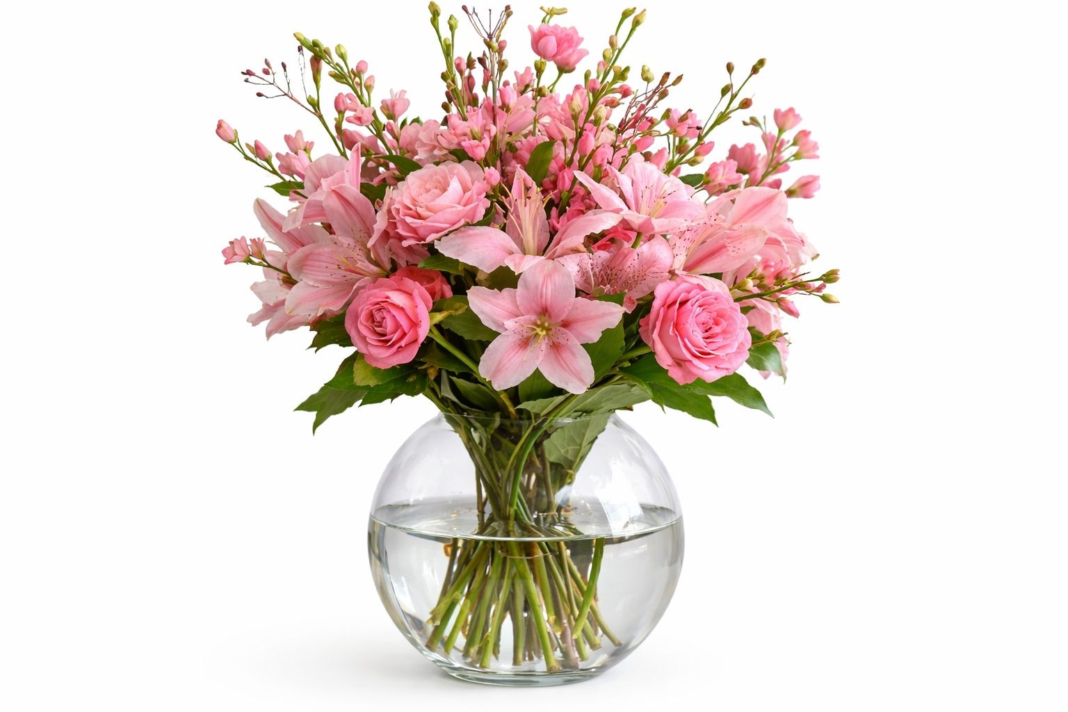 Pink Rose 15